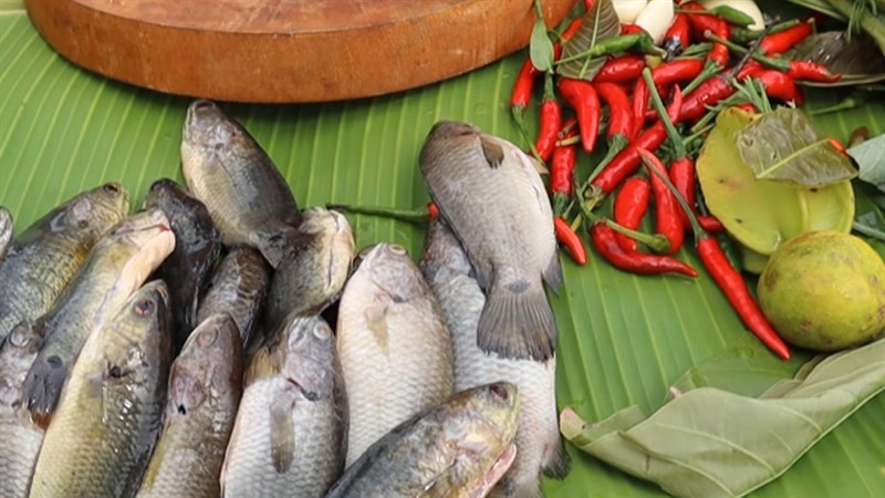 Nguyên liệu món ăn cá rô chiên xù chấm mắm gừng