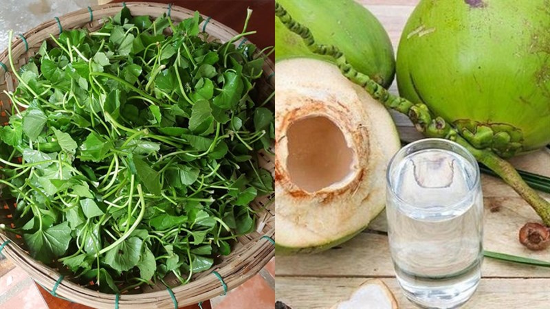 Nguyên liệu món ăn rau má nước dừa