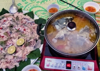 ChC6B0a20cC3B320tC3AAn202880020x2080020px2920285029