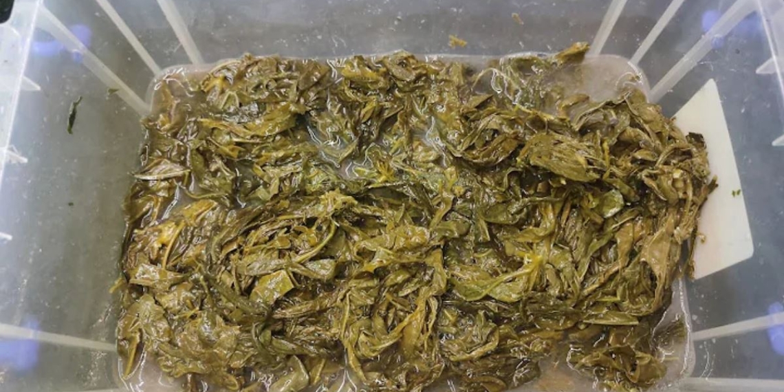 ChC6B0a20cC3B320tC3AAn202880020x2080020px2920285629