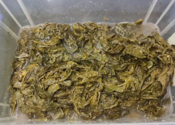 ChC6B0a20cC3B320tC3AAn202880020x2080020px2920285629