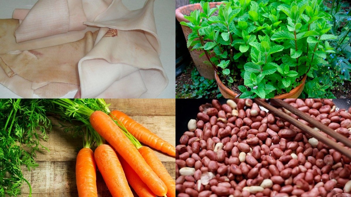 Nguyên liệu món ăn gỏi da heo