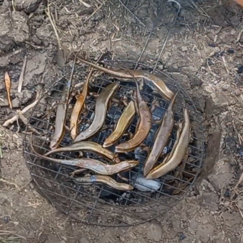 Bước 1 Nướng rắn mối Rắn mối nướng mọi