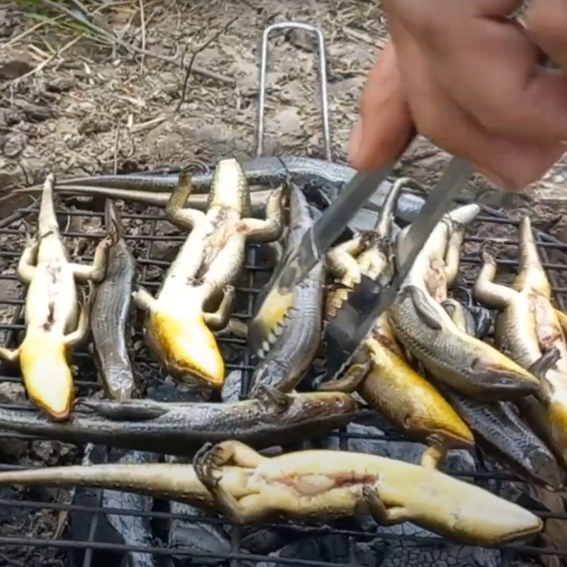 Bước 1 Nướng rắn mối Rắn mối nướng mọi