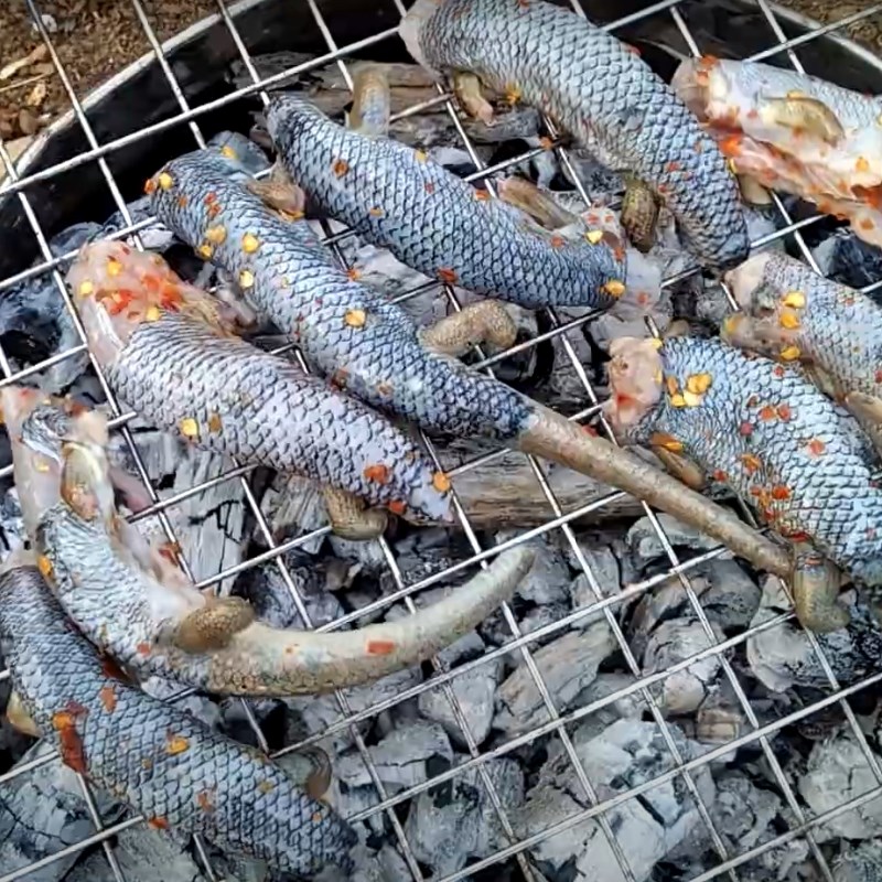 Bước 2 Nướng rắn mối Rắn mối nướng muối ớt