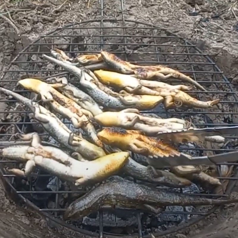 Bước 1 Nướng rắn mối Rắn mối nướng mọi