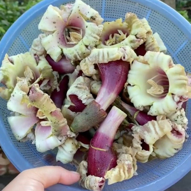 Bước 1 Phơi hoa n&uacute;c n&aacute;c C&aacute;ch chế biến hoa n&uacute;c n&aacute;c kh&ocirc;