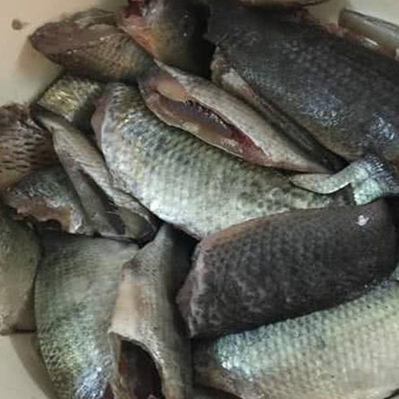 Bước 1 Sơ chế cá Cá rô chiên xù chấm mắm gừng