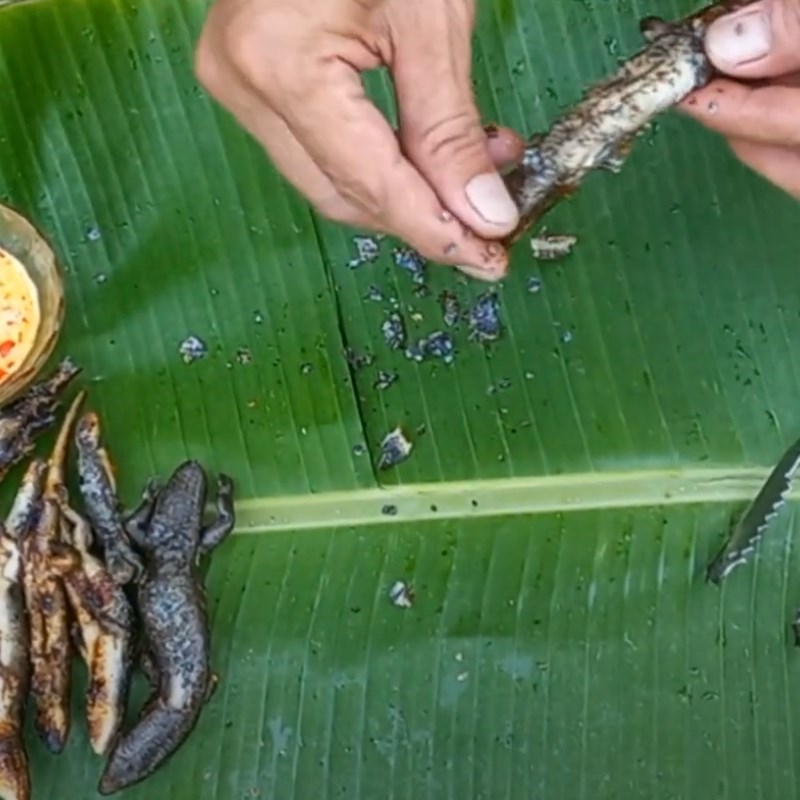 Bước 2 Thưởng thức Rắn mối nướng mọi