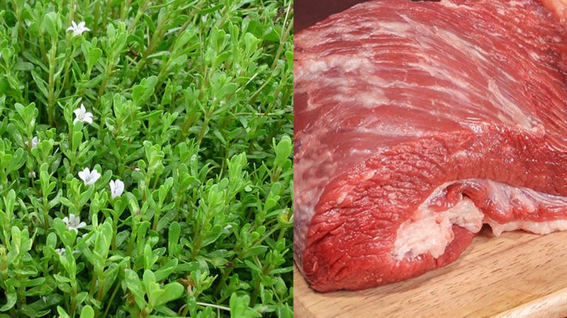 Nguyên liệu món ăn 2 cách làm rau đắng xào thịt bò và nấm rơm