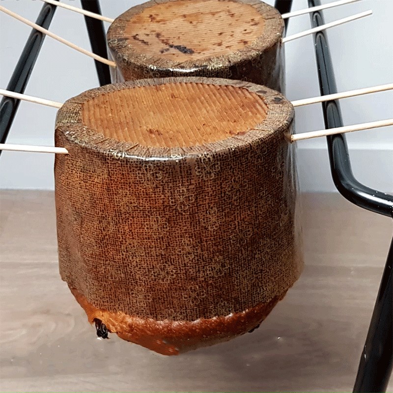 Bước 7  Nướng bánh Bánh mì trái cây Panettone