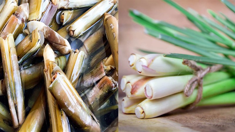Nguyên liệu món ăn ốc móng tay cháy tỏi