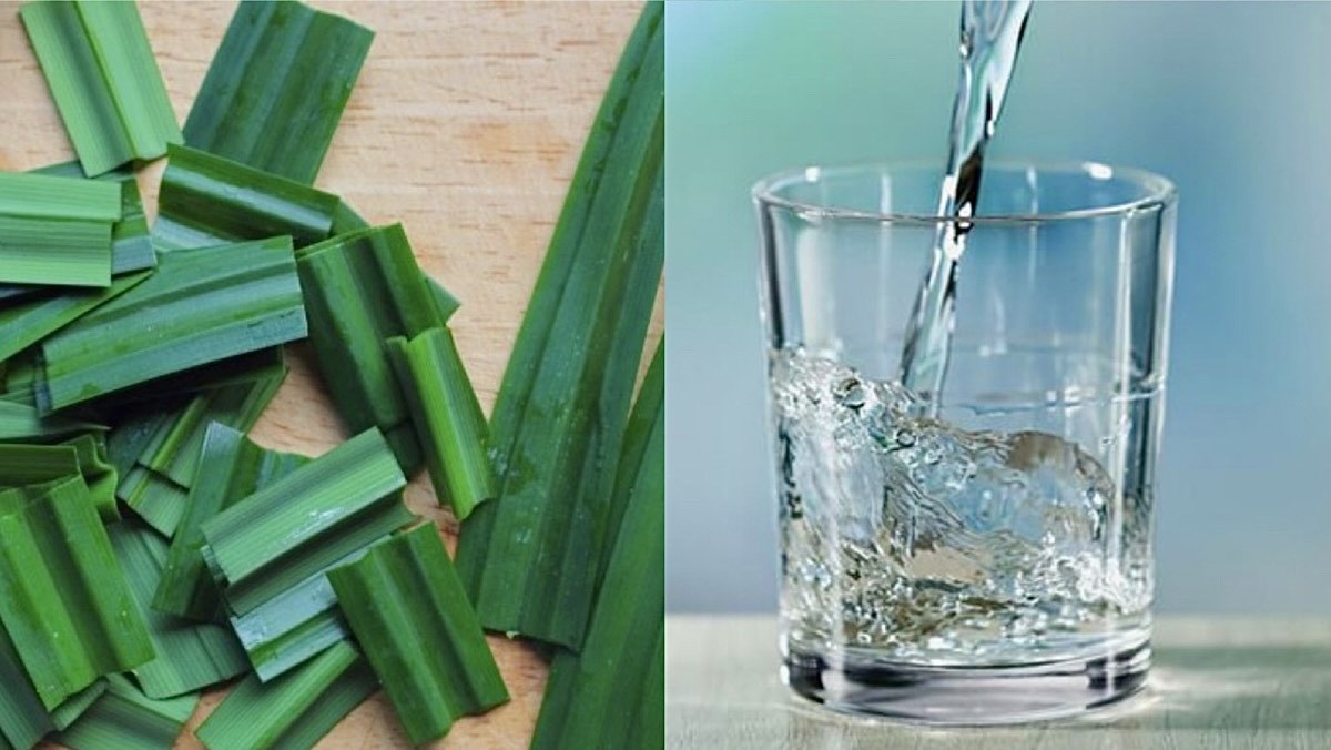Nguyên liệu món ăn nước cốt lá dứa