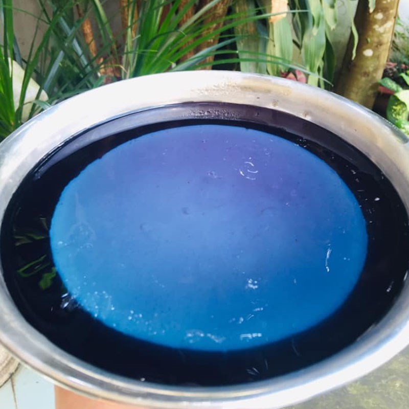 Bước 3 Làm phần rau câu hoa đậu biếc Rau câu phô mai đậu biếc