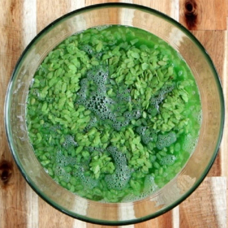 Bước 3 Nấu xôi cốm khô Xôi cốm khô bằng nồi cơm điện