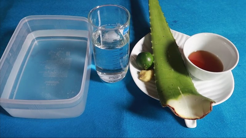Nguyên liệu món ăn sinh tố nha đam