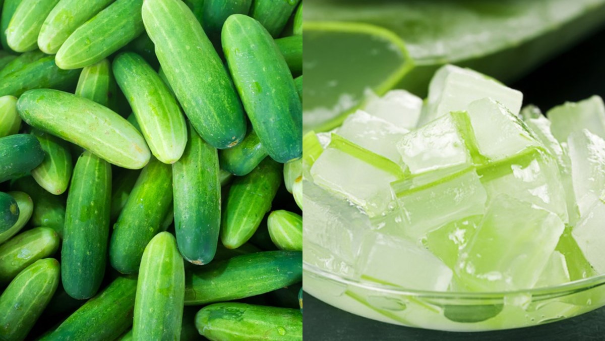 Nguyên liệu món ăn nước ép dưa leo