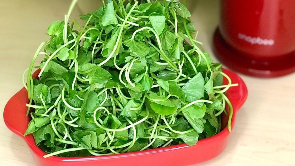 Nguyên liệu món ăn nước ép rau má