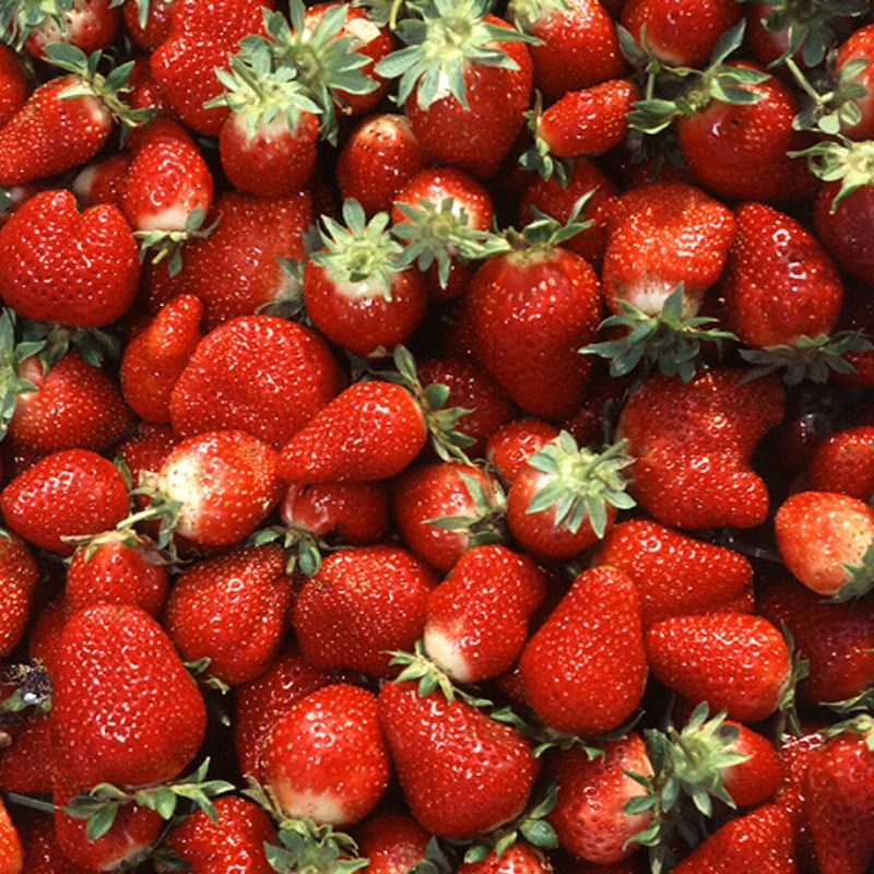 Bước 1 Sơ chế dâu Siro dâu tây