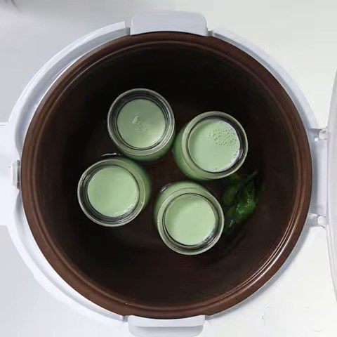 Bước 3 Ủ sữa chua Sữa chua lá dứa