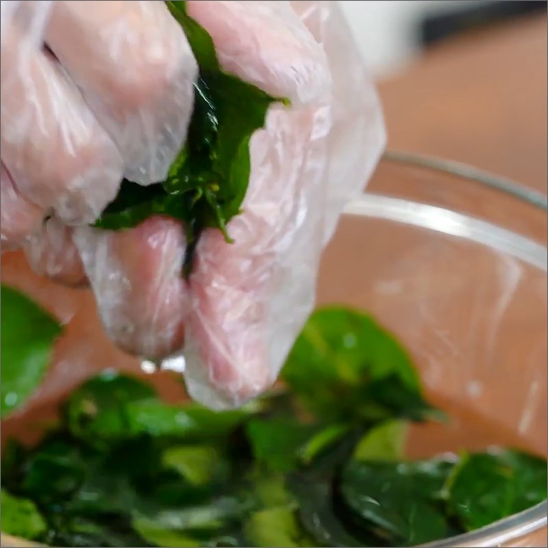 Bước 1 Vò lá găng Thạch găng từ lá tươi