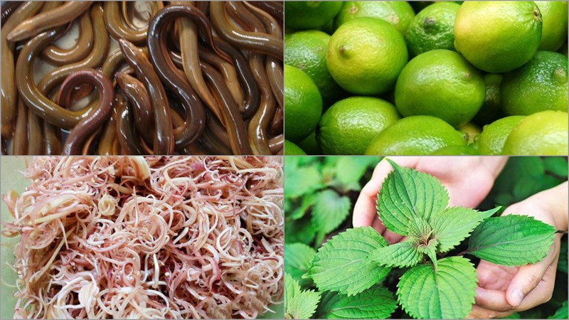 Nguyên liệu món ăn gỏi lươn hoa chuối