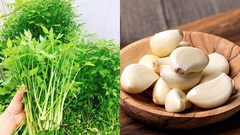 Nguyên liệu món ăn cần nước xào tỏi và xào thịt bò