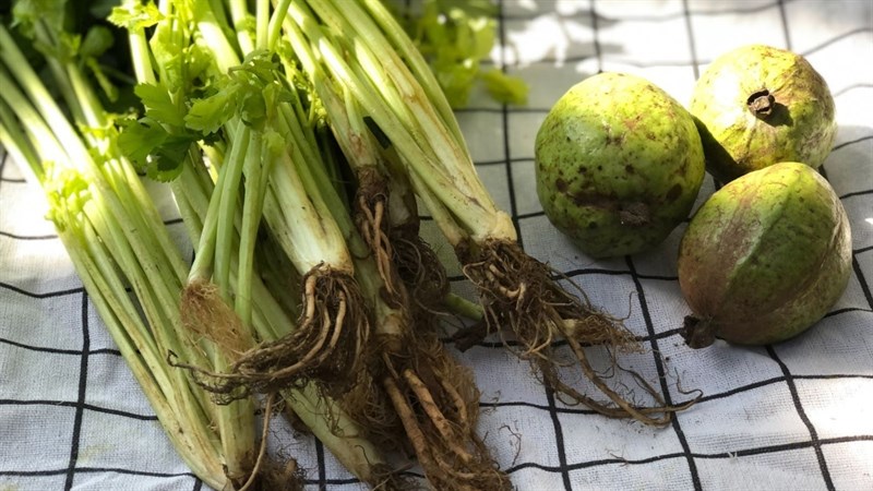 Nguyên liệu món ăn nước ép cần tây mix ổi