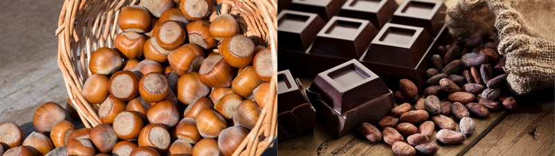 Nguyên liệu món ăn 2 cách làm sữa hạt phỉ