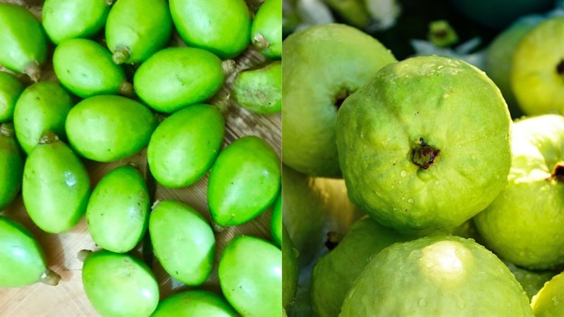 Nguyên liệu món ăn cách làm nước ép cóc