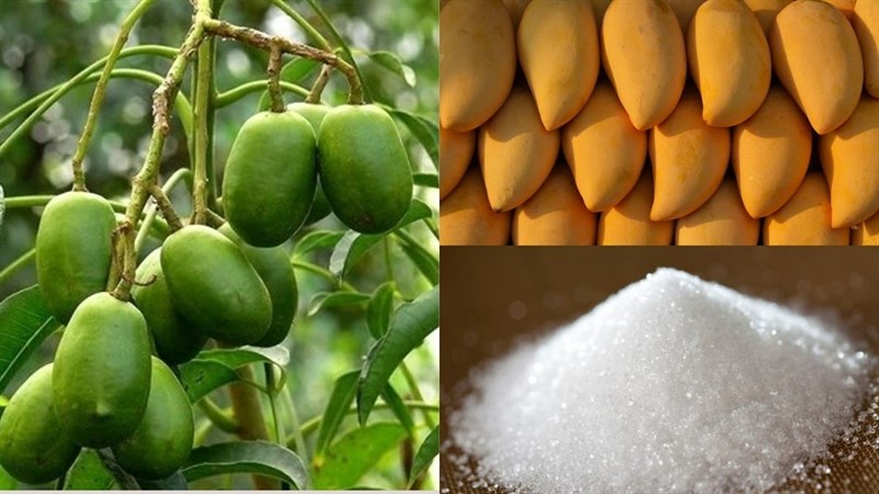 Nguyên liệu món ăn cách làm nước ép cóc