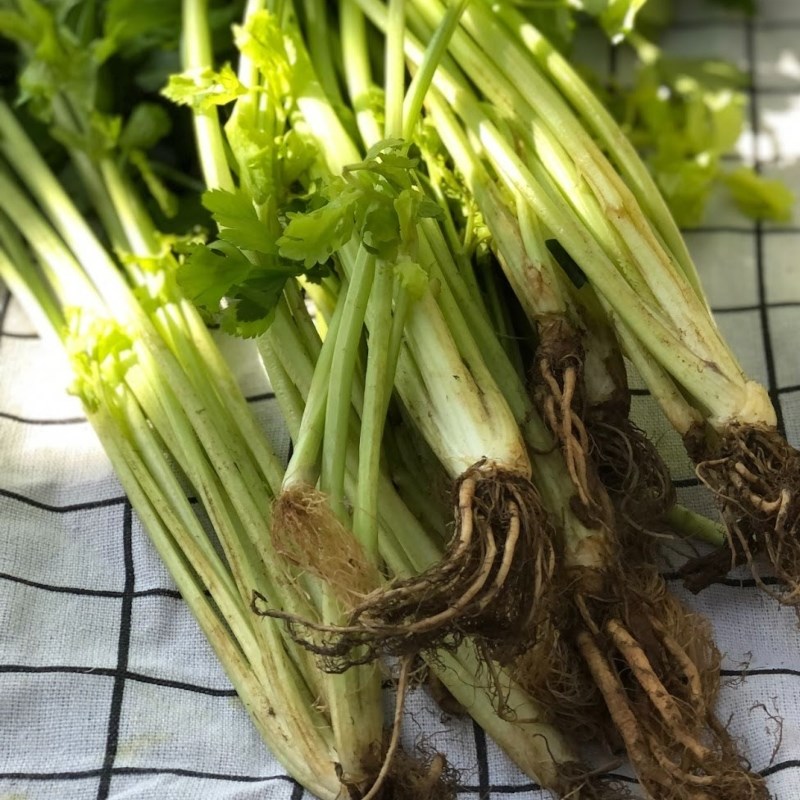 Bước 1 Sơ chế cần tây Nước ép cần tây mix ổi