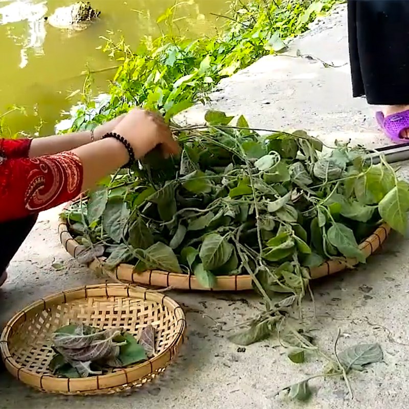 Bước 1 Sơ chế vịt và các nguyên liệu Vịt nướng giả cầy