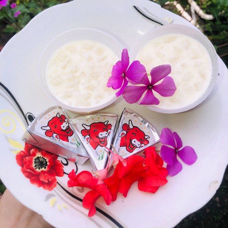 Bước 5 Thành phẩm Sữa chua phô mai nha đam