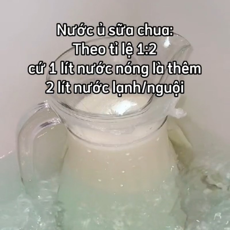 Bước 2 Ủ sữa chua Sữa chua cốm xanh (Công thức được chia sẻ từ Tiktok Cách Nấu Ngon cùng Cách Nấu Ngon)