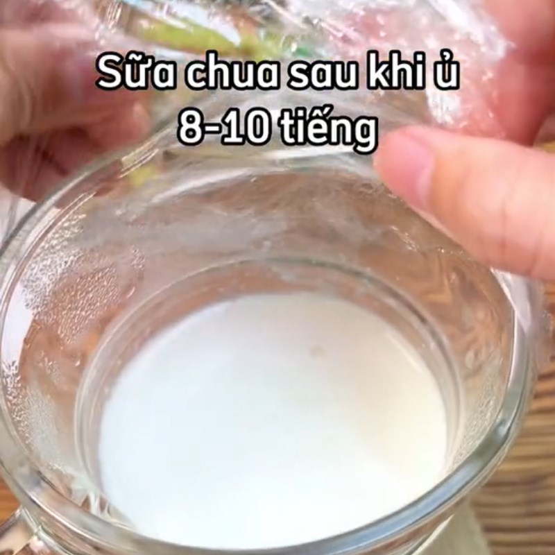 Bước 2 Ủ sữa chua Sữa chua cốm xanh (Công thức được chia sẻ từ Tiktok Cách Nấu Ngon cùng Cách Nấu Ngon)