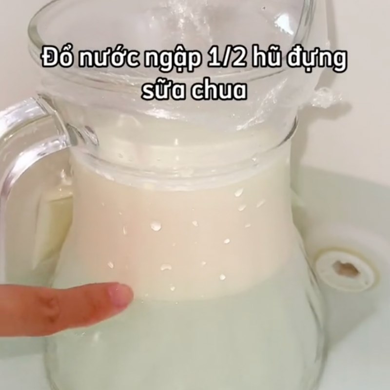 Bước 3 Ủ sữa chua phô mai Sữa chua phô mai cốm non (Công thức từ kênh tiktok Cách Nấu Ngon Cùng Cách Nấu Ngon)