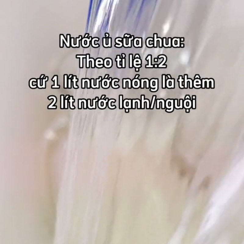 Bước 3 Ủ sữa chua phô mai Sữa chua phô mai cốm non (Công thức từ kênh tiktok Cách Nấu Ngon Cùng Cách Nấu Ngon)