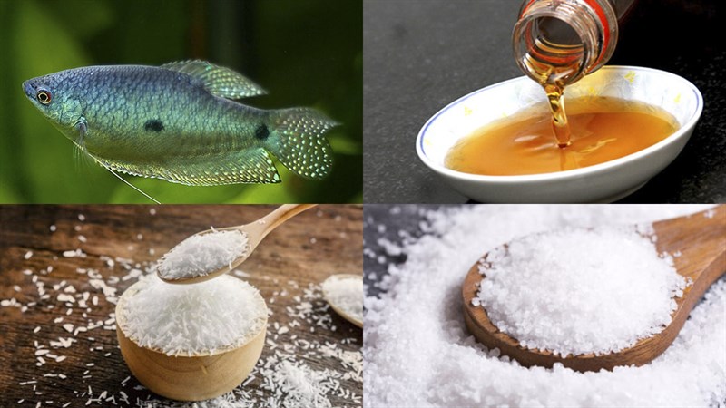 Nguyên liệu món ăn khô cá sặc