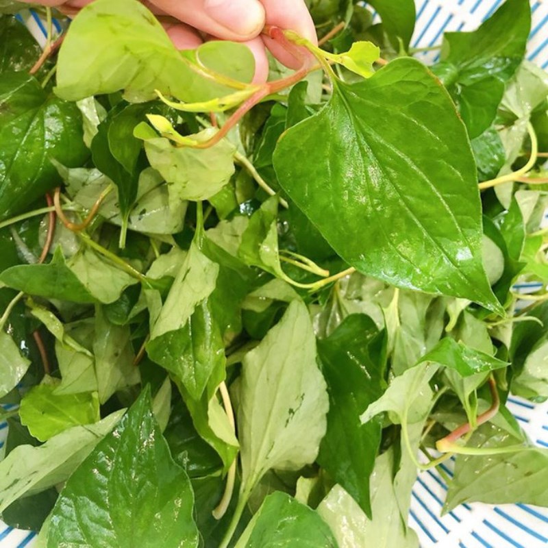 Bước 1 Sơ chế nguyên liệu Nước ép diếp cá khổ qua