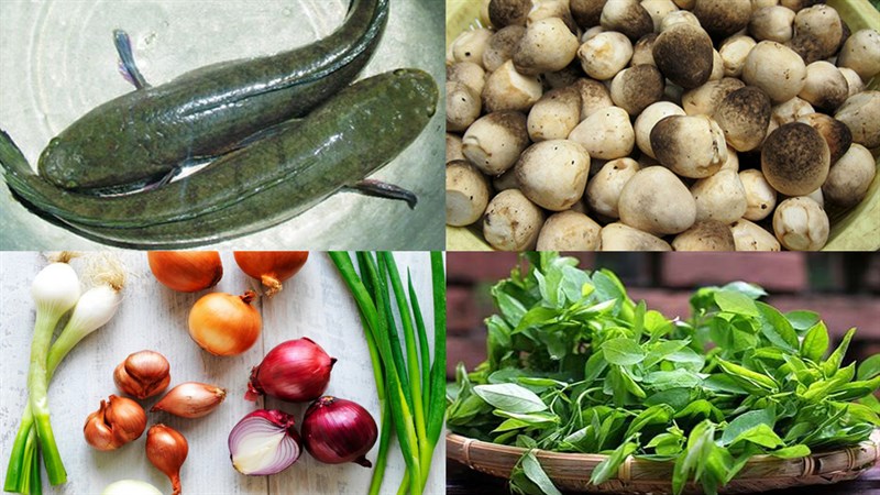 Nguyên liệu món ăn 2 cách nấu lẩu cá lóc nấu nấm và nấu chua