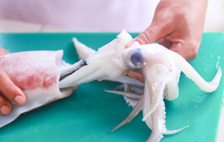 Hướng dẫn sơ chế mực