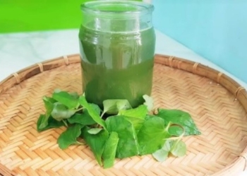 4 cach lam nuoc rau diep ca thom ngon thanh mat giai nhiet co avt 1200x676 1