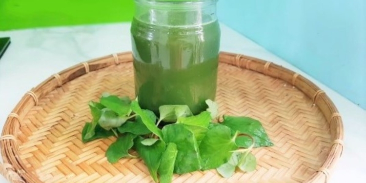 4 cach lam nuoc rau diep ca thom ngon thanh mat giai nhiet co avt 1200x676 1