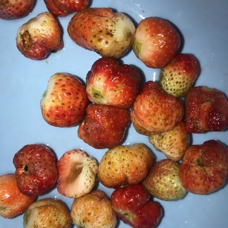 Bước 1 Sơ chế nguyên liệu Sinh tố dâu tây mít
