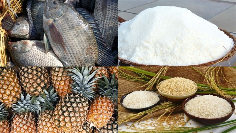 Nguyên liệu món ăn mắm cá rô phi