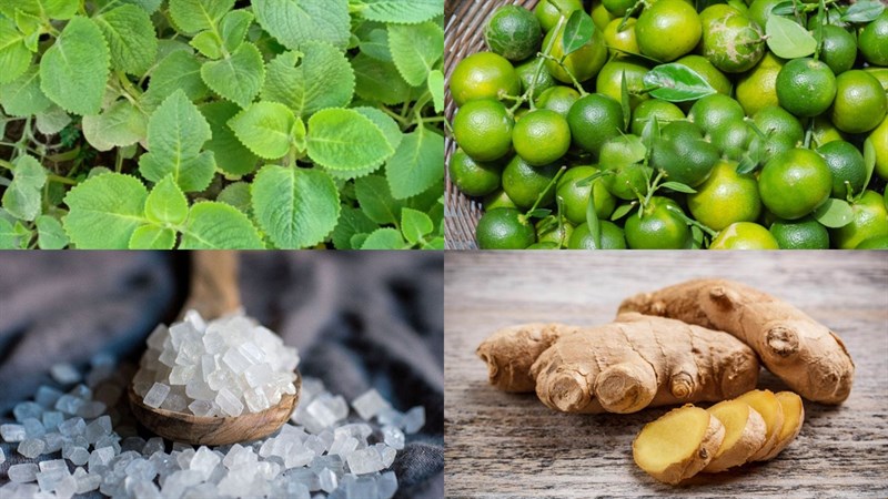 Nguyên liệu món ăn thức uống từ sả tắc và mật ong
