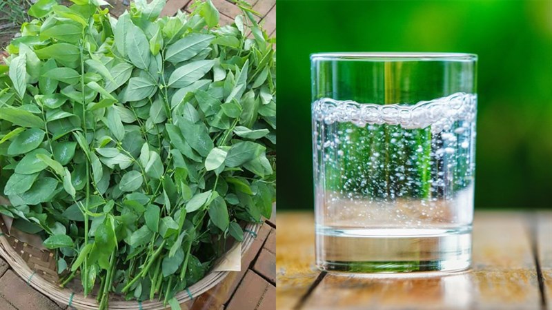 Nguyên liệu món ăn nước ép rau ngót