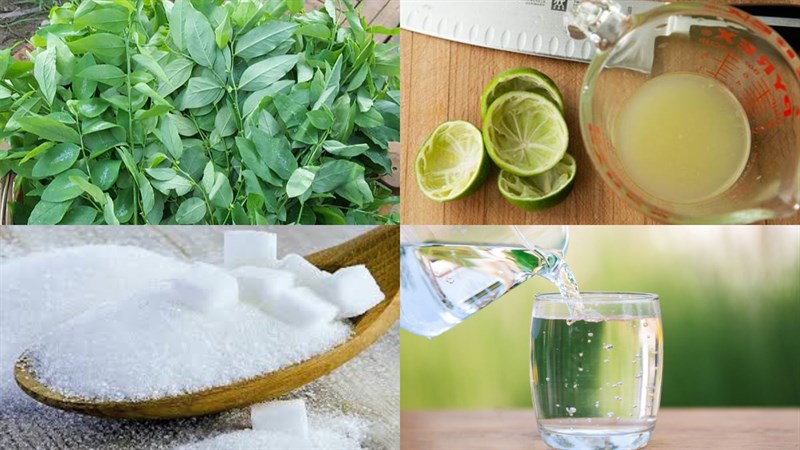 Nguyên liệu món ăn nước ép rau ngót