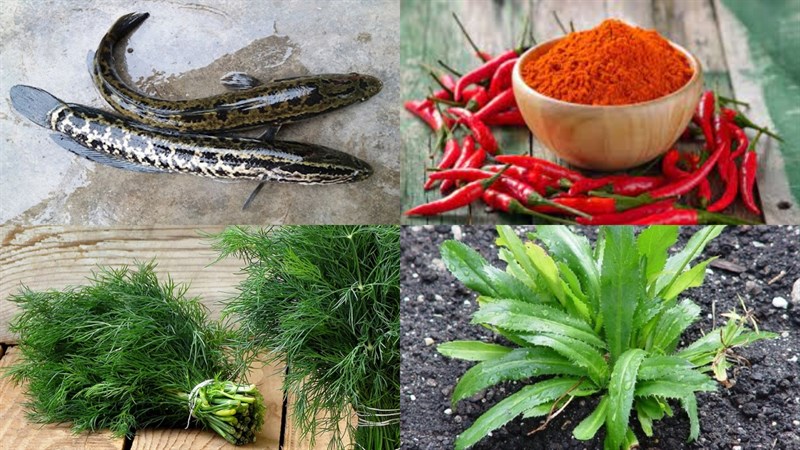 Nguyên liệu món ăn 2 cách làm cá lóc nướng muối ớt